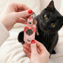 Personalised Cat Breed Photo Keyring, thumbnail 1 of 12