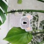 Handmade Hanging Koala Decoration For Plant, thumbnail 6 of 6
