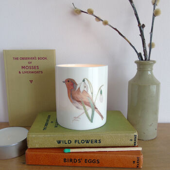 Robin And Snowdrop Tealight Candle Holder, 5 of 10