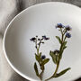 Real Pressed Forget Me Not Ceramic Trinket Dish, thumbnail 2 of 4