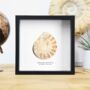 Polished Limestone Ammonite Box Frame Real Authentic Jurassic Dinosaur Fossil Museum Quality Natural History Interior Design Home Decor Display Gift Ornament, thumbnail 1 of 4