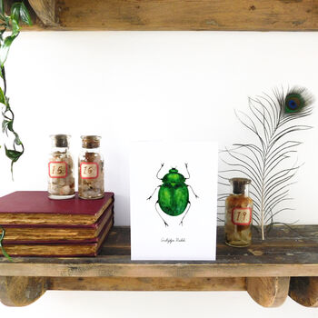 Green Beetle A6 Greetings Cards, 4 of 7