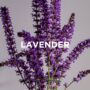 Scented Soy Candle Lavender + Patchouli, thumbnail 6 of 6