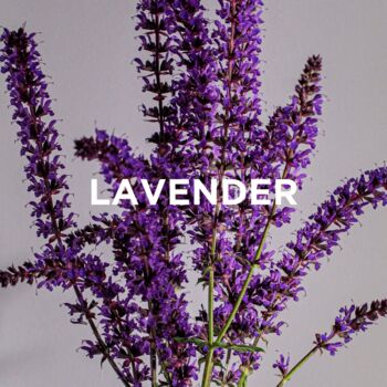 Scented Soy Candle Lavender + Patchouli, 6 of 6