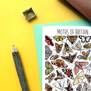 Moths Of Britain Greeting Card, 7 of 9