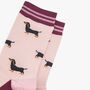 Sausage Dog Pinstripe Bamboo Ankle Socks Women's Berry Pink, thumbnail 2 of 4