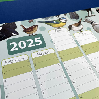 2025 Garden Birds Wall Calendar And Year Planner, 8 of 9