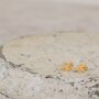Gold Vermeil Bee Stud Earrings, thumbnail 2 of 4