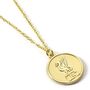 Liverpool Football Club Gold Finish Crest Necklace, thumbnail 1 of 3