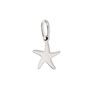 Starfish Charm Necklace, thumbnail 2 of 4