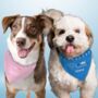 Funny Dog Bandana Dog Gifts, thumbnail 1 of 8