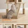 96cm Cat Tree Tower Light Grey With Side Slope, thumbnail 6 of 9