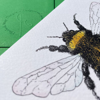 Hand Drawn Bumblebee Illustrated Blank Greeting Card, 6 of 10