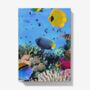 A5 Hardback Notebook Featuring The Coral Reef, thumbnail 1 of 4