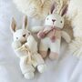 Personalised Welcome To The World Baby Boy Bunny Gift, thumbnail 5 of 11