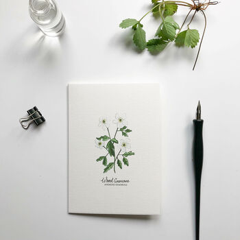 Botanical Wildflowers Hand Illustrated Notecard Set, 4 of 7