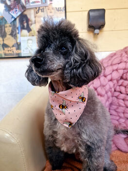 Pink Cord Bumble Bee Polka Dots Dog Bandana, 5 of 5