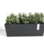 Ecopots Bruges Planter Made From Recycled Plastic, thumbnail 5 of 6