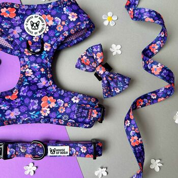 Ditsy Floral Padded Dog Collar, 7 of 8