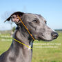 Leather Martingale Collar For Sighthounds, thumbnail 2 of 11