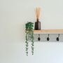 Wooden Coat Rack With Hanging Hooks And Shelf, thumbnail 9 of 11