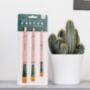 Pink Mini Cactus Cleaner Brush Set, thumbnail 2 of 3