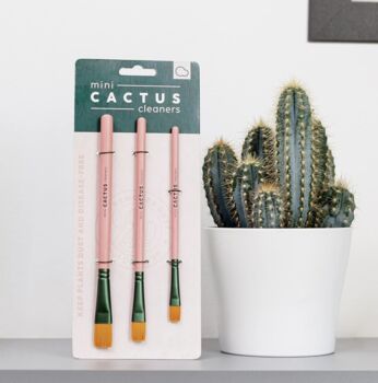 Pink Mini Cactus Cleaner Brush Set, 2 of 3