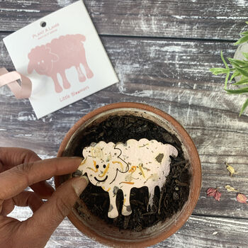 Plant A Lamb Seed Paper Card, 3 of 5
