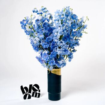 Glacier Blue Delphinium Fresh Flower Bouquet, 2 of 3