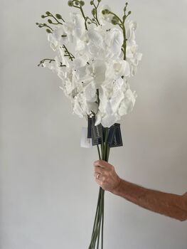 Artificial White Glitter Fabric Orchid Stem, 4 of 8