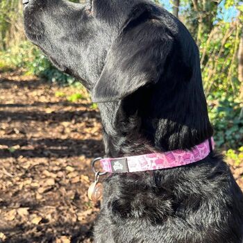 Dog Collar | Pink Princess, 5 of 10