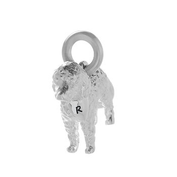 Labradoodle Personalised Silver Necklace, 6 of 9