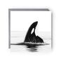 Orca Whale Sea Life Greeting Card, thumbnail 2 of 5