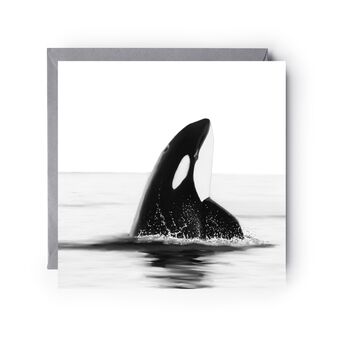 Orca Whale Sea Life Greeting Card, 2 of 5