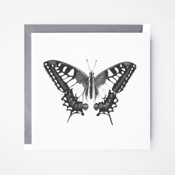Old World Swallowtail Butterfly Greeting Card, 2 of 6