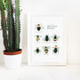 Illustrated British Bees Springtime Print Unframed, thumbnail 5 of 6