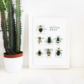 Illustrated British Bees Springtime Print Unframed, 5 of 6