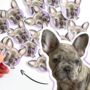 Personalised Pet Stickers, thumbnail 3 of 12