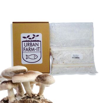 Shiitake Mushroom Grain Spawn 1l, 5l, 2 of 4