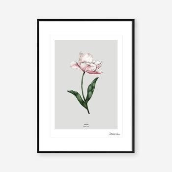 Botanical Tulip 'Spring Blossom' Art Print, 2 of 2