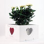 Valentine's Plant Pot Holder, thumbnail 2 of 2