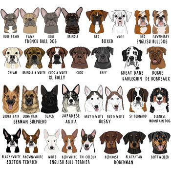 Personalised You And Your Pet Back To School Kids Backpack, 11 of 12