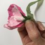 Paper Flower Kit Sweet Pea, thumbnail 6 of 9