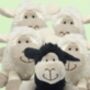 Flock Of Soft Toy Sheep, thumbnail 1 of 5