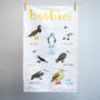 'Boobies' Illustrated Bird Tea Towel, thumbnail 3 of 3