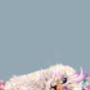 Custom Personalised Pet Portrait With Flowers Cat Dog, thumbnail 5 of 9