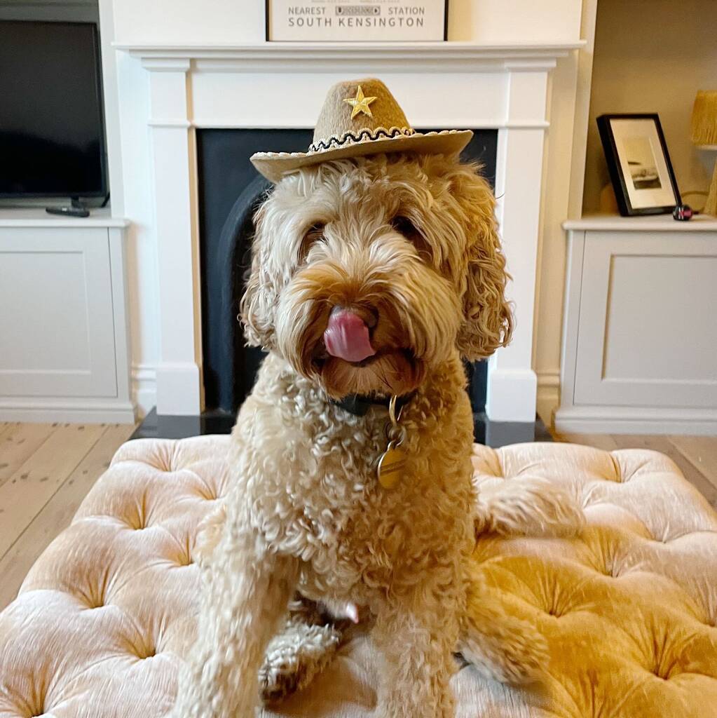 Pet Cowboy Hat, 1 of 9
