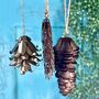 Vintage Pinecone Decorations Ltew002, thumbnail 4 of 8