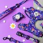 Ditsy Floral Dog Harness Bundle Collar And Lead Set, thumbnail 5 of 12
