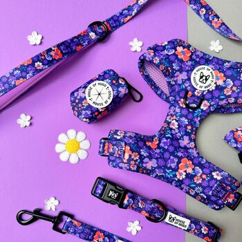 Ditsy Floral Dog Harness Bundle Collar And Lead Set, 5 of 12
